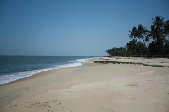 Fool'S Paradise Bed & Breakfast Alappuzha Exterior photo